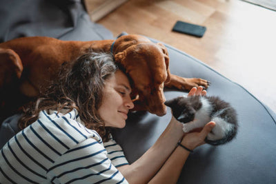 Simple Tips to Keep Your Pet at Peak Health