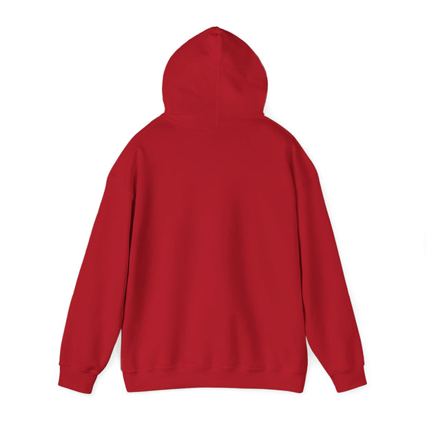 Best Unisex Heavy Hooded