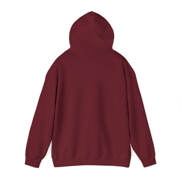 Best Unisex Heavy Hooded