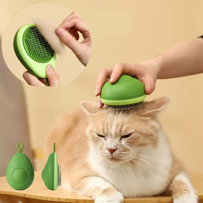 Creative Cat Grooming