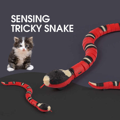 Eletronic Snake Cat